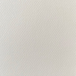 Block Caran D'Ache Pastel