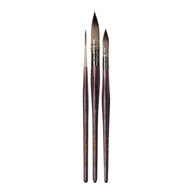 Pinceles Da Vinci Set Prafull Sawant