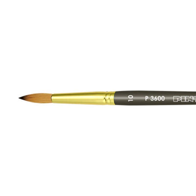 Pincel de ardilla para acuarela, Gouache, pinceles inclinados para pintura  profesional, serie 208S: 10mm-24mm -  México