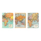 Libretitas Cavallini con 3, Set Vintage Maps